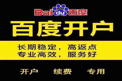 精准投放，高效转化——SEM竞价优化案例集